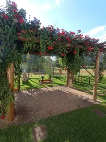Imagem 6 - Chácara em Rural, Araçatuba - SP