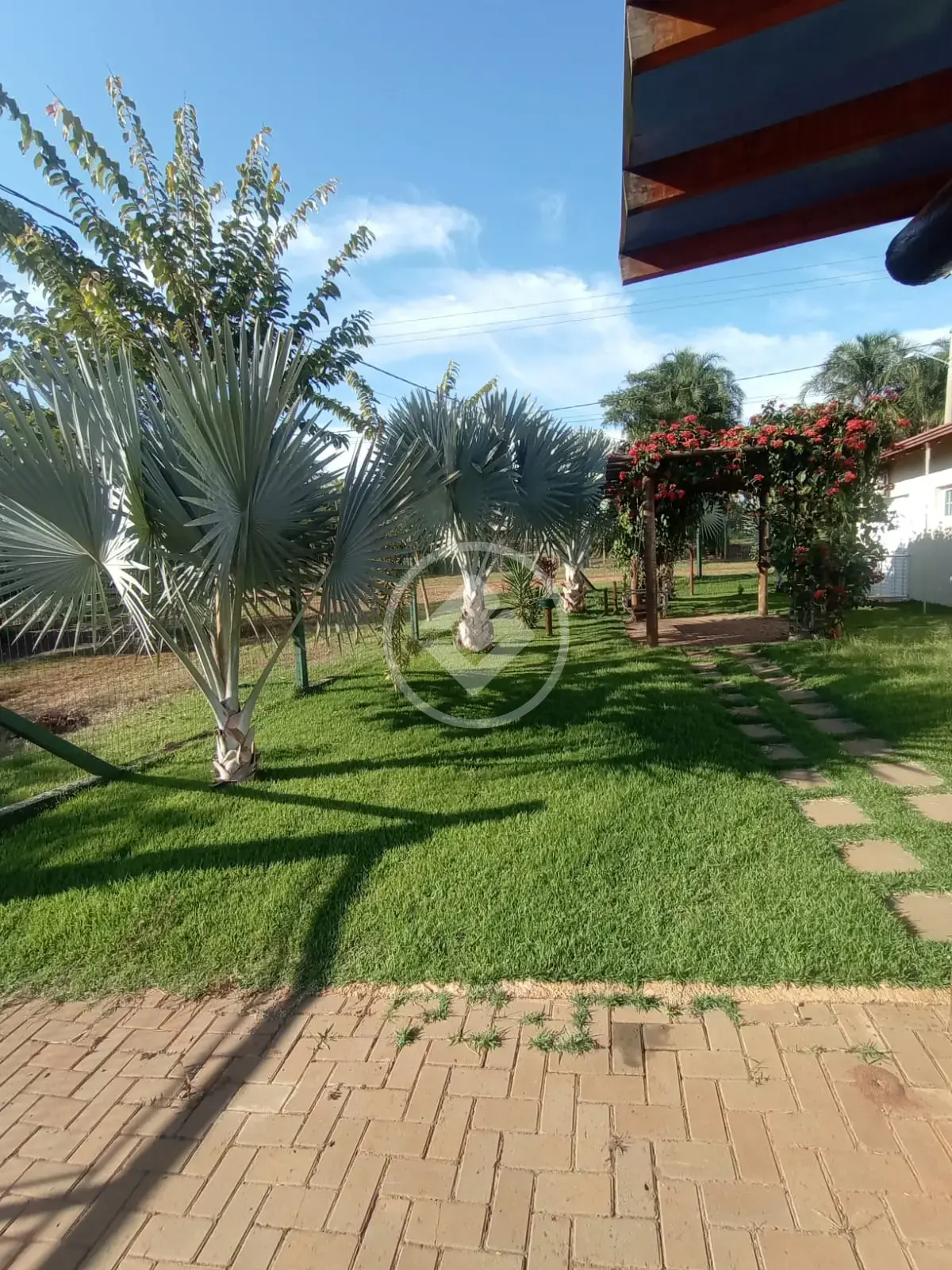 Imagem 1 - Chácara em Rural, Araçatuba - SP