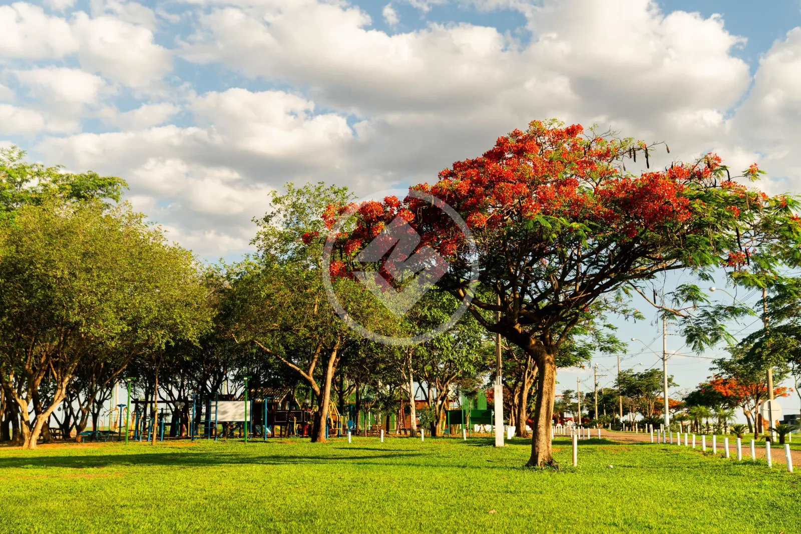 Imagem 5 - Terreno Condomínio em Centro, Araçatuba - SP