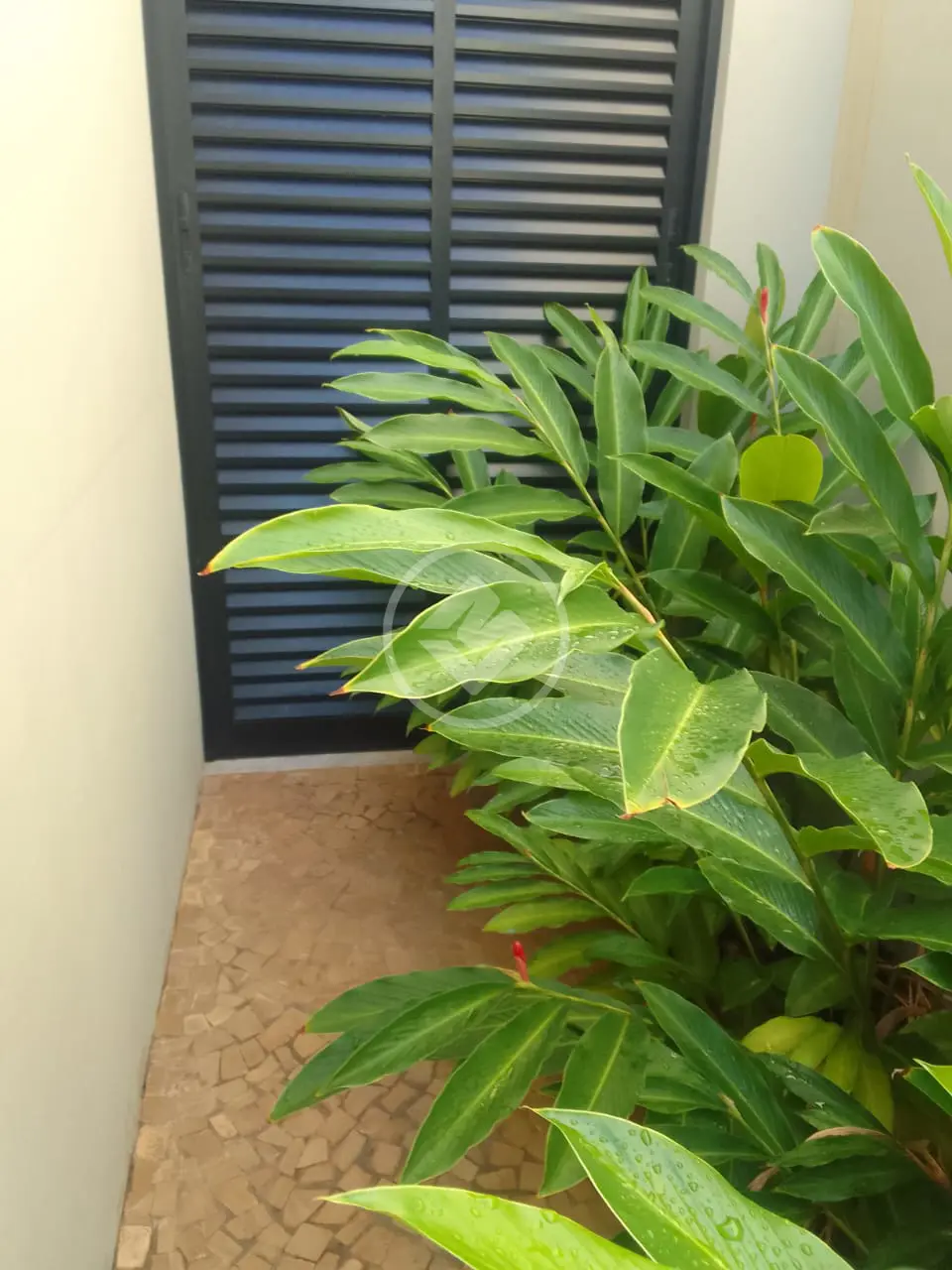 Image 9 - Casa Condomínio em Aviação, Araçatuba - SP