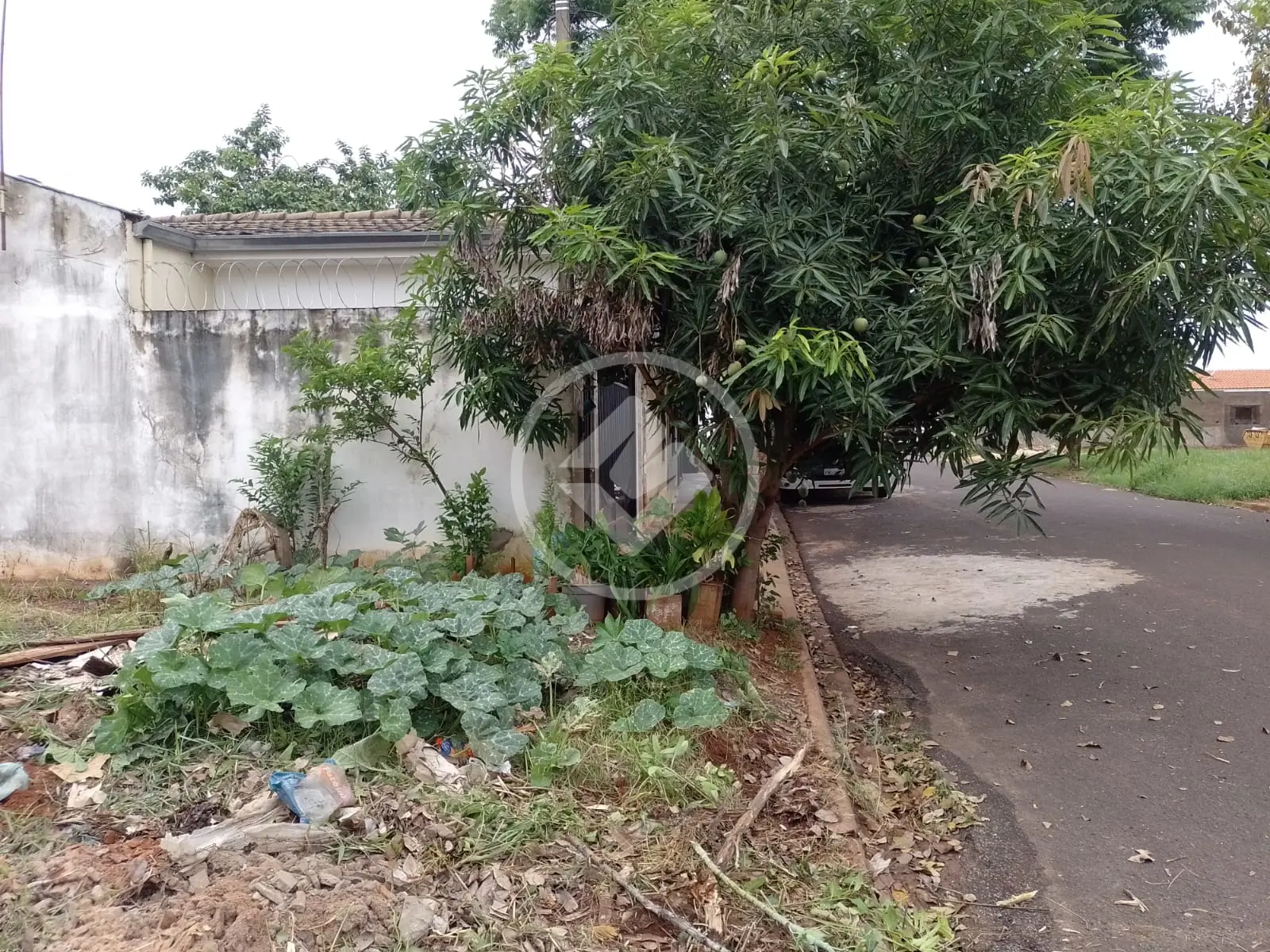 Imagem 2 - Terreno em Residencial Monte Líbano, Birigui - SP