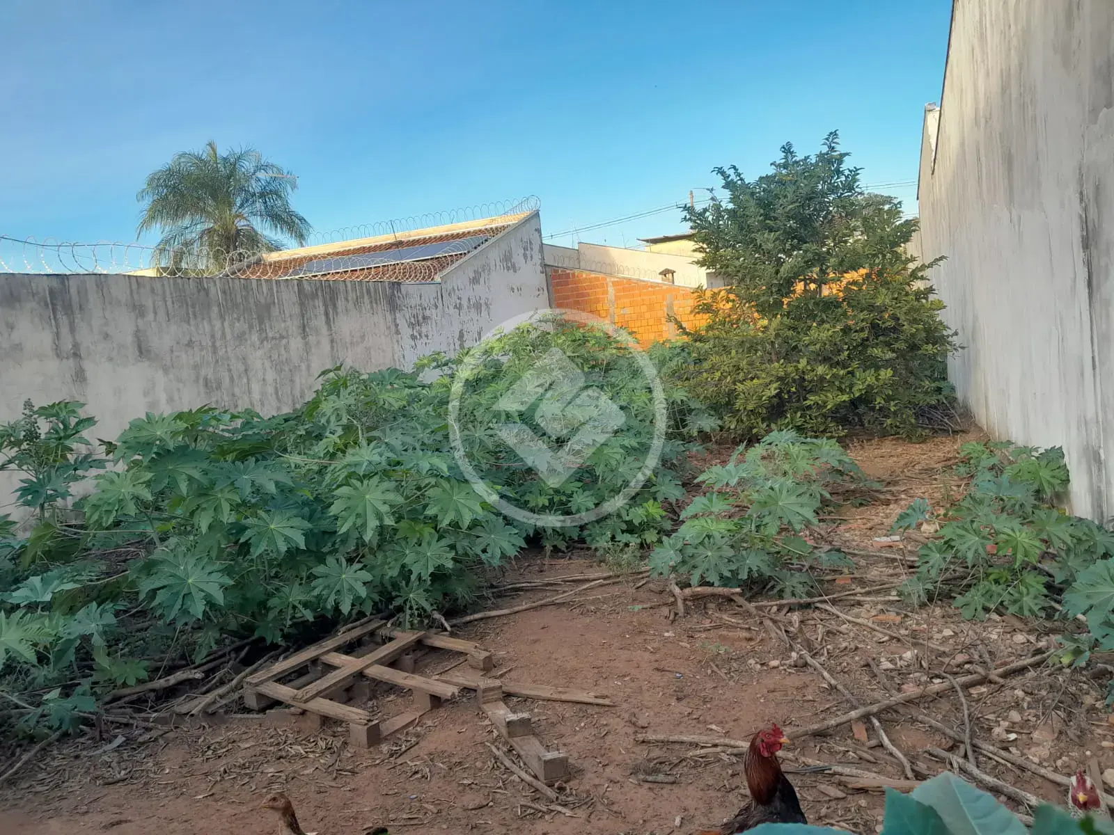 Imagem 1 - Terreno em Concórdia III, Araçatuba - SP