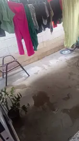 Imagem 5 - Apartamento em Santa Luzia, Araçatuba - SP