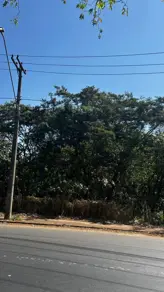 Chácara Parque Industrial, Araçatuba - SP — foto 2