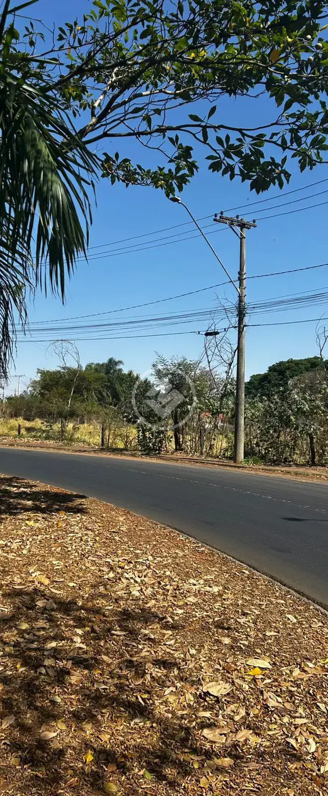 Imagem 1 - Chácara em Parque Industrial, Araçatuba - SP