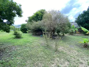 Chácara Conjunto Habitacional Pedro Perri, Araçatuba - SP — foto 1