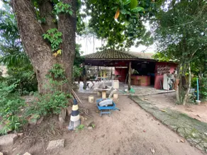 Imagem 6 - Chácara em Conjunto Habitacional Pedro Perri, Araçatuba - SP