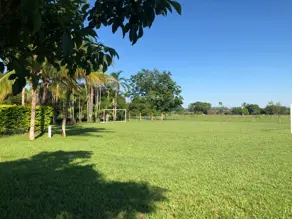 Imagem 4 - Sítio em Chácaras Califórnia, Araçatuba - SP