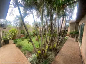 Imagem 2 - Casa em Vila Mendonca, Araçatuba - SP