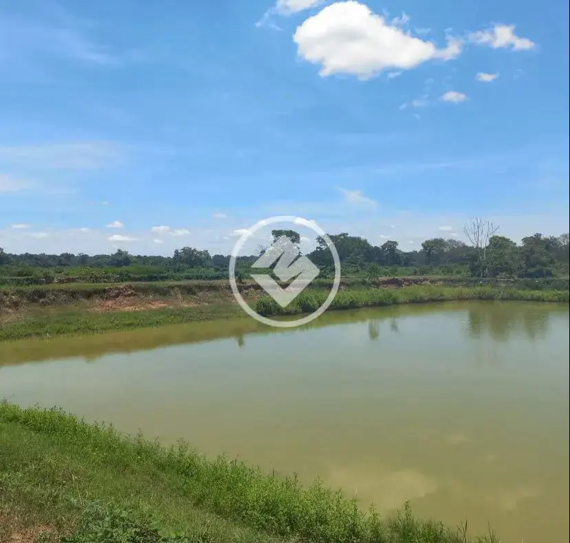 Fazenda ZONA RURAL, Santo Antônio de Leverger - MT — foto 2