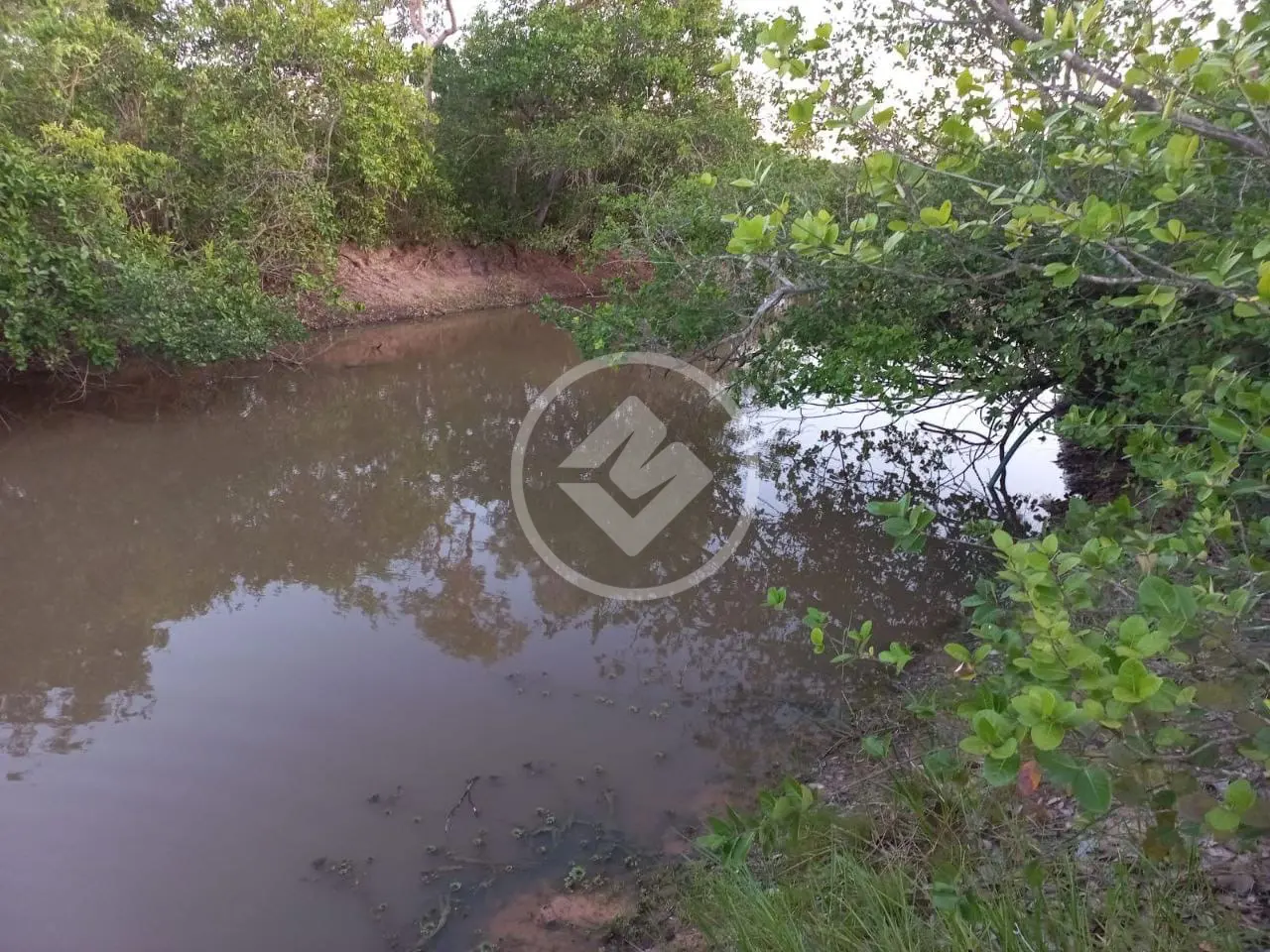 Imagem 2 - Terreno em Núcleo Habitacional Sucuri, Cuiabá - MT
