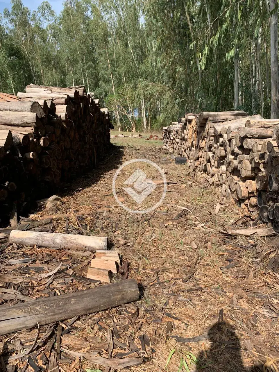 Imagem 4 - Fazenda em ZONA RURAL, Santo Antônio de Leverger - MT