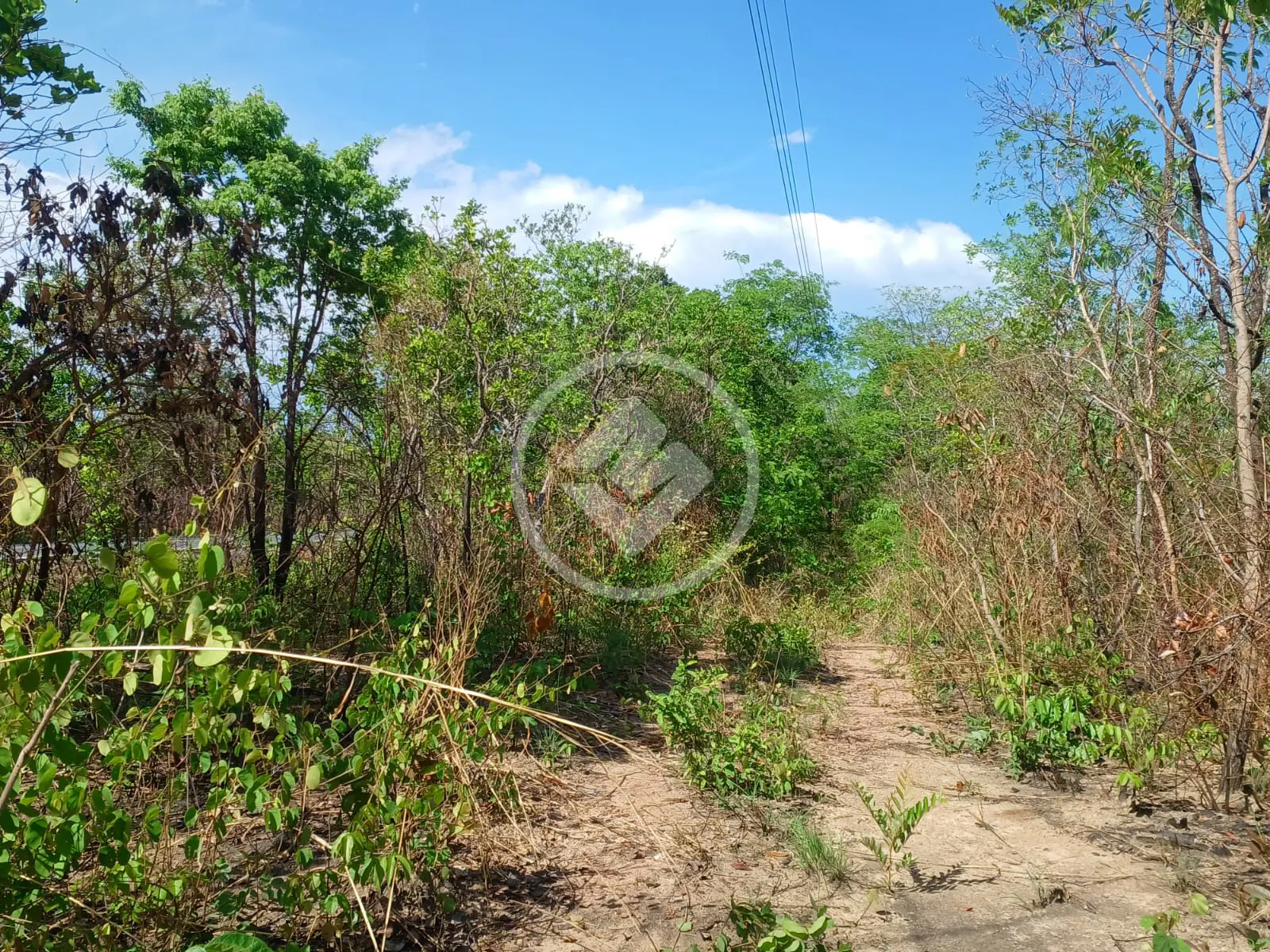 Imagem 6 - Chácara em COXIPO, Cuiabá - MT