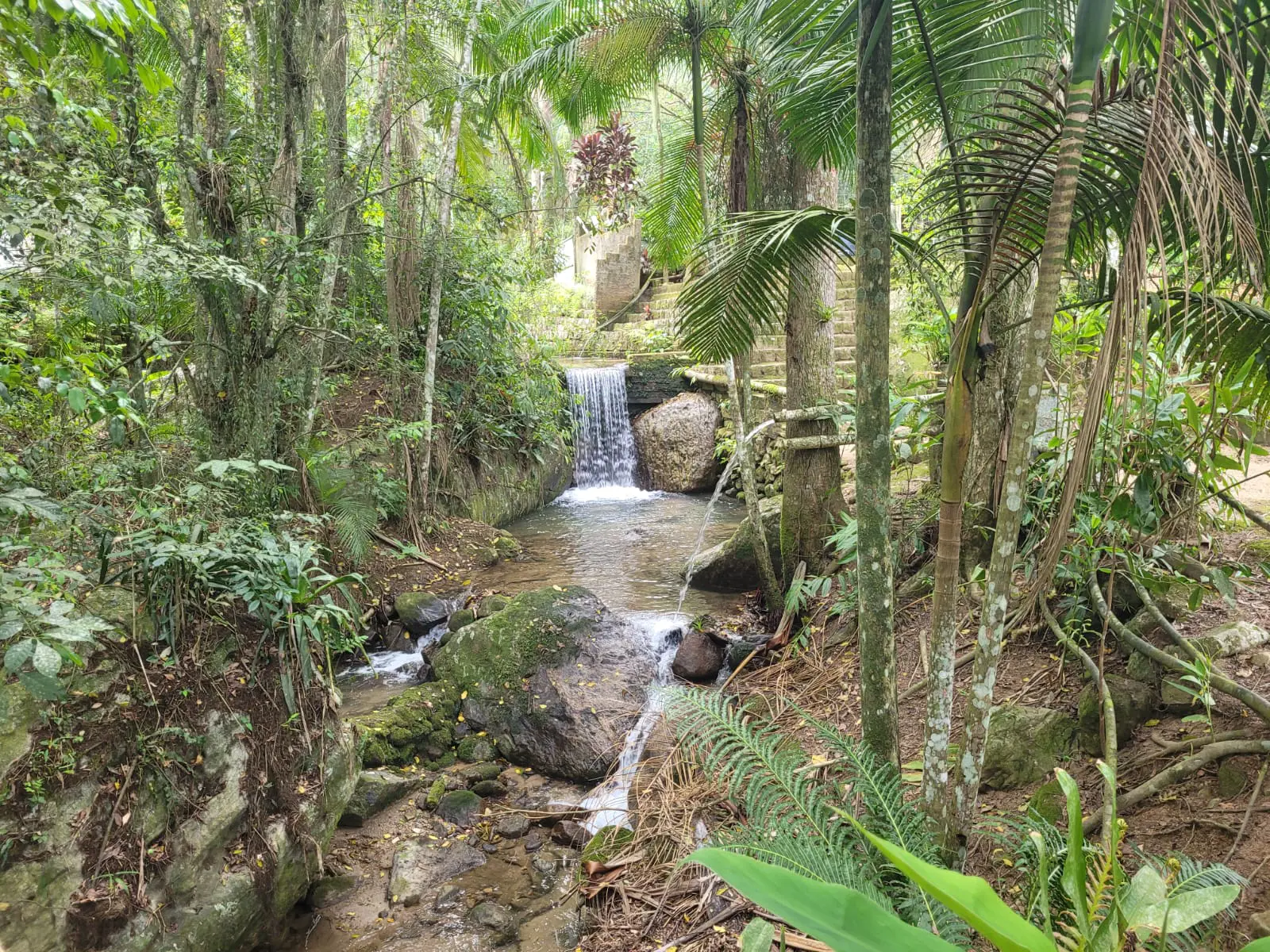 Imagem 4 - Sítio em Meia Praia, Itapema - SC