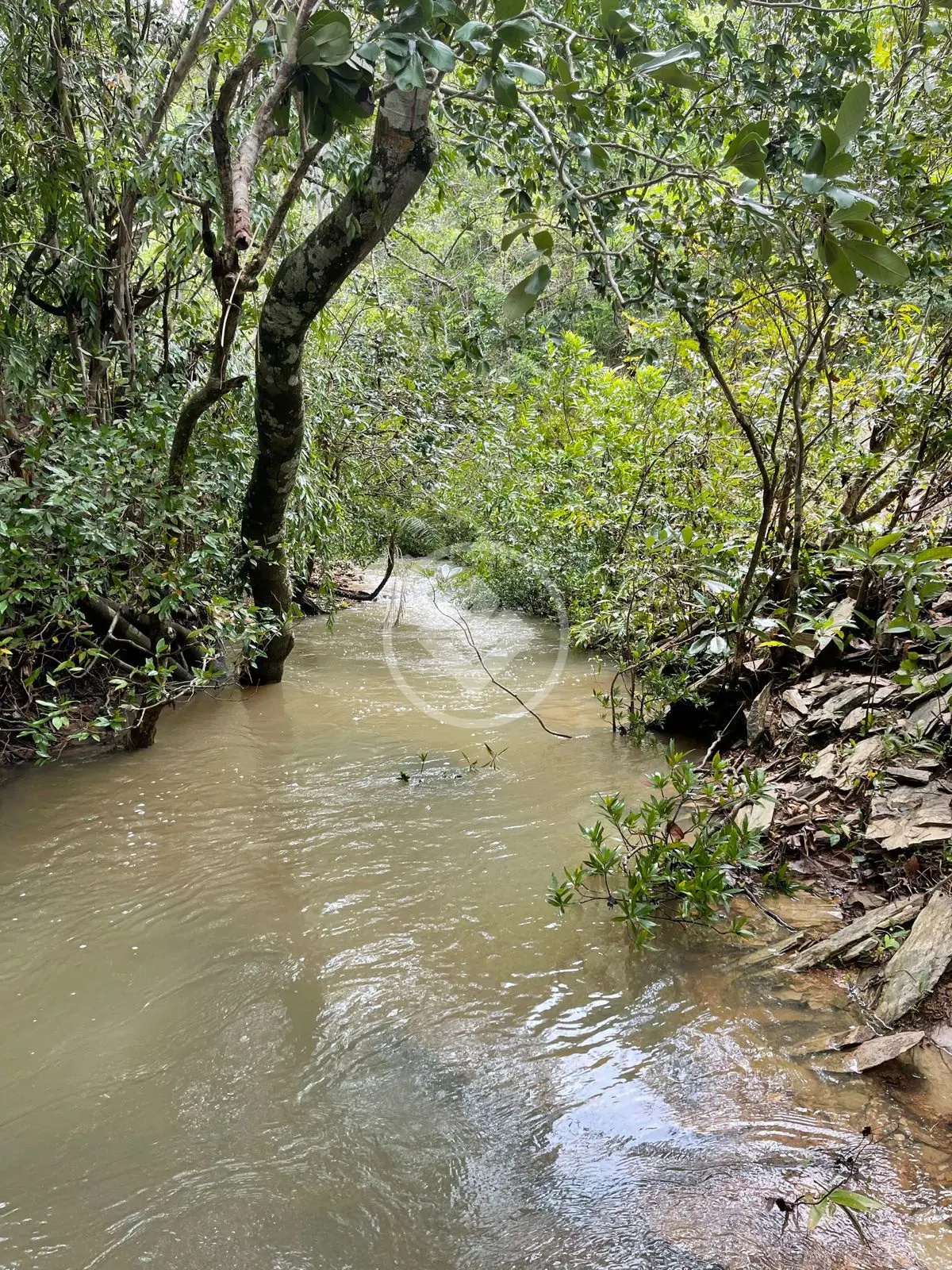 Imagem 5 - Chácara em Jardim Florianópolis, Cuiabá - MT