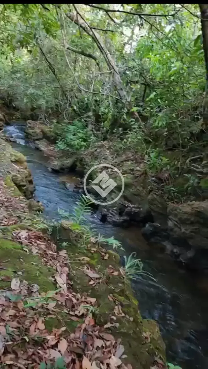 Chácara Área Rural, Chapada dos Guimarães - MT — foto 1