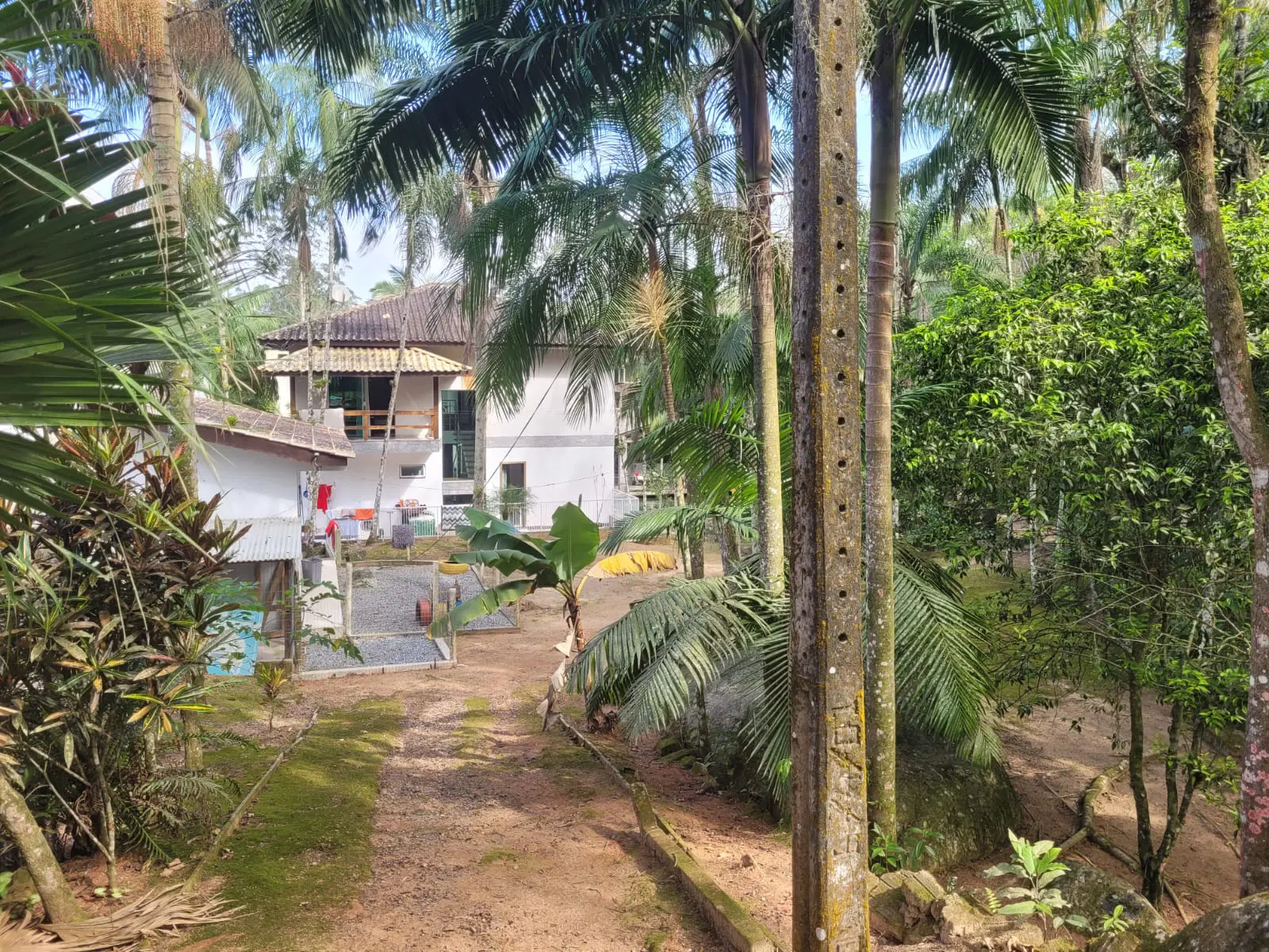 Imagem 6 - Sítio em Meia Praia, Itapema - SC