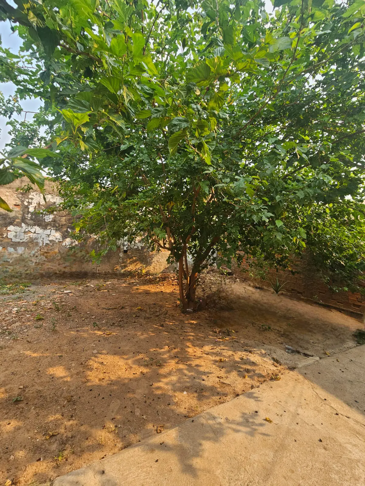 Imagem 3 - Casa em JARDIM ARAÇÁ, Cuiabá - MT