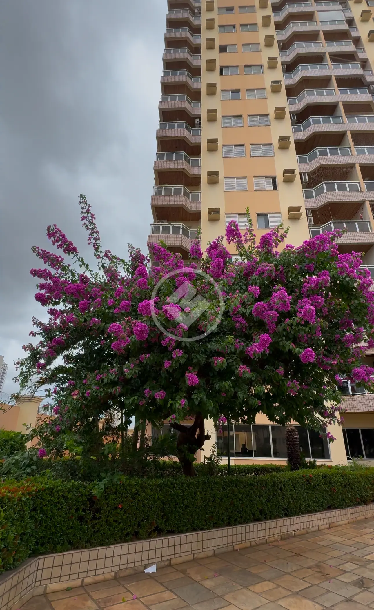 Apartamento Bosque da saude, Cuiabá - MT — foto 1