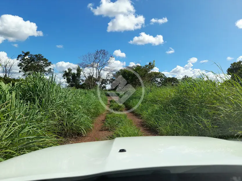 Imagem 5 - Fazenda em JARDIM MARIA IZABEL, Várzea Grande - MT