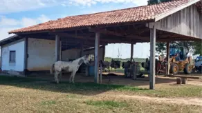 Imagem 4 - Fazenda em Centro, Poconé - MT