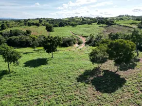 Fazenda Manjolo, Nossa Senhora do Livramento - MT — foto 1