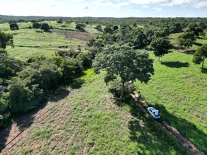 Imagem 3 - Fazenda em Manjolo, Nossa Senhora do Livramento - MT