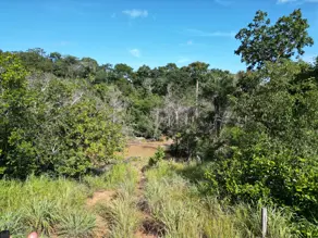 Imagem 5 - Fazenda em Manjolo, Nossa Senhora do Livramento - MT
