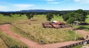 Fazenda ZONA RURAL, Santo Antônio de Leverger - MT — foto 2