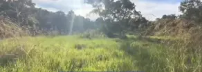 Imagem 6 - Fazenda em ZONA RURAL, Santo Antônio de Leverger - MT