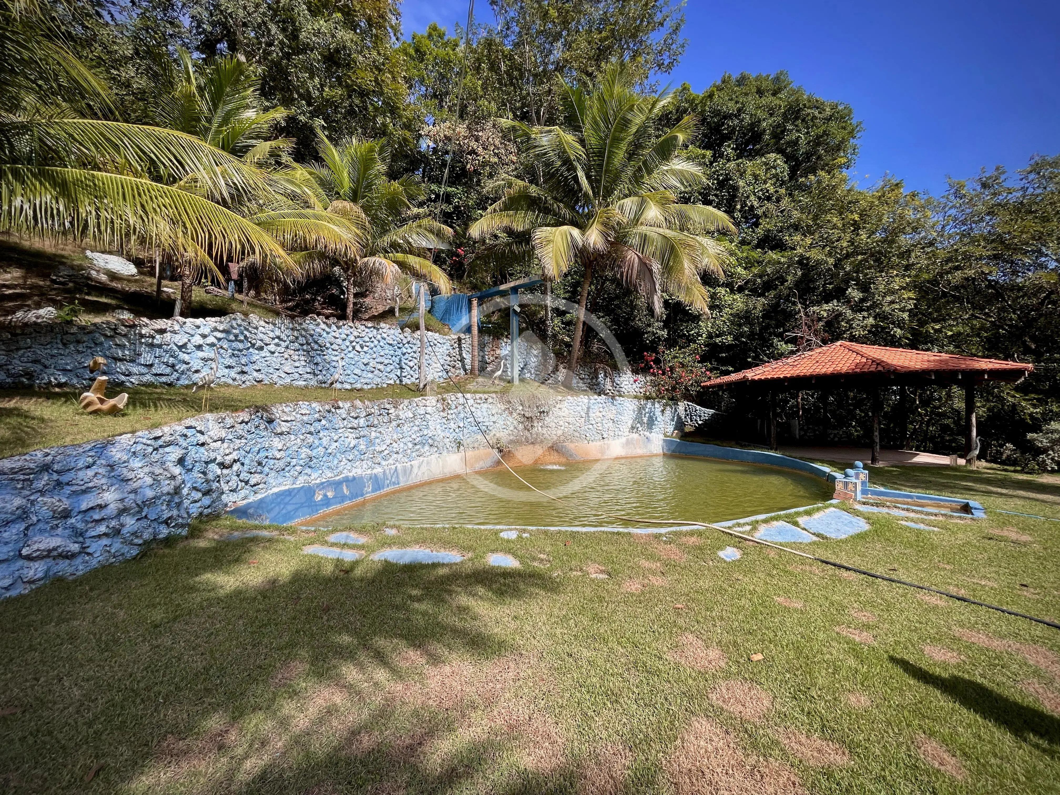 Imagem 4 - Fazenda em BAIRRO CONVERSAO, CIDADE CONVERSAO - MT