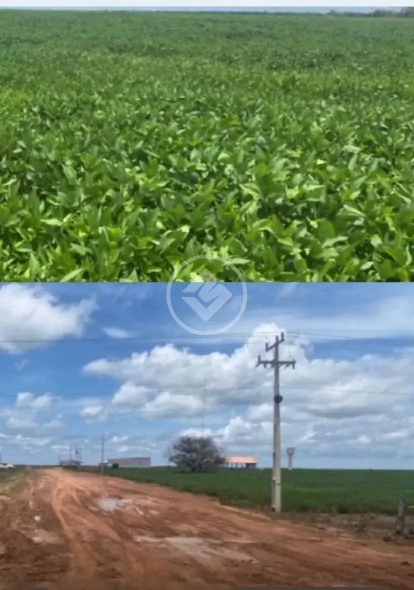 Image 2 - Fazenda em Centro, Porto Alegre do Norte - MT