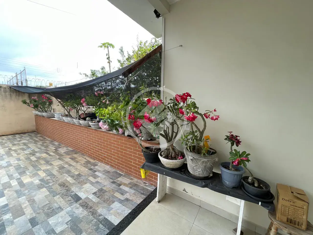 Imagem 4 - Casa em Centro-Sul, Várzea Grande - MT