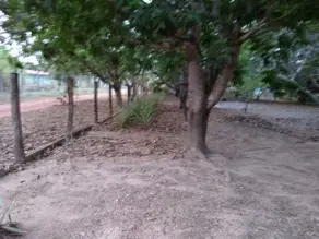 Imagem 6 - Terreno em Engenho Velho, Santo Antônio de Leverger - MT