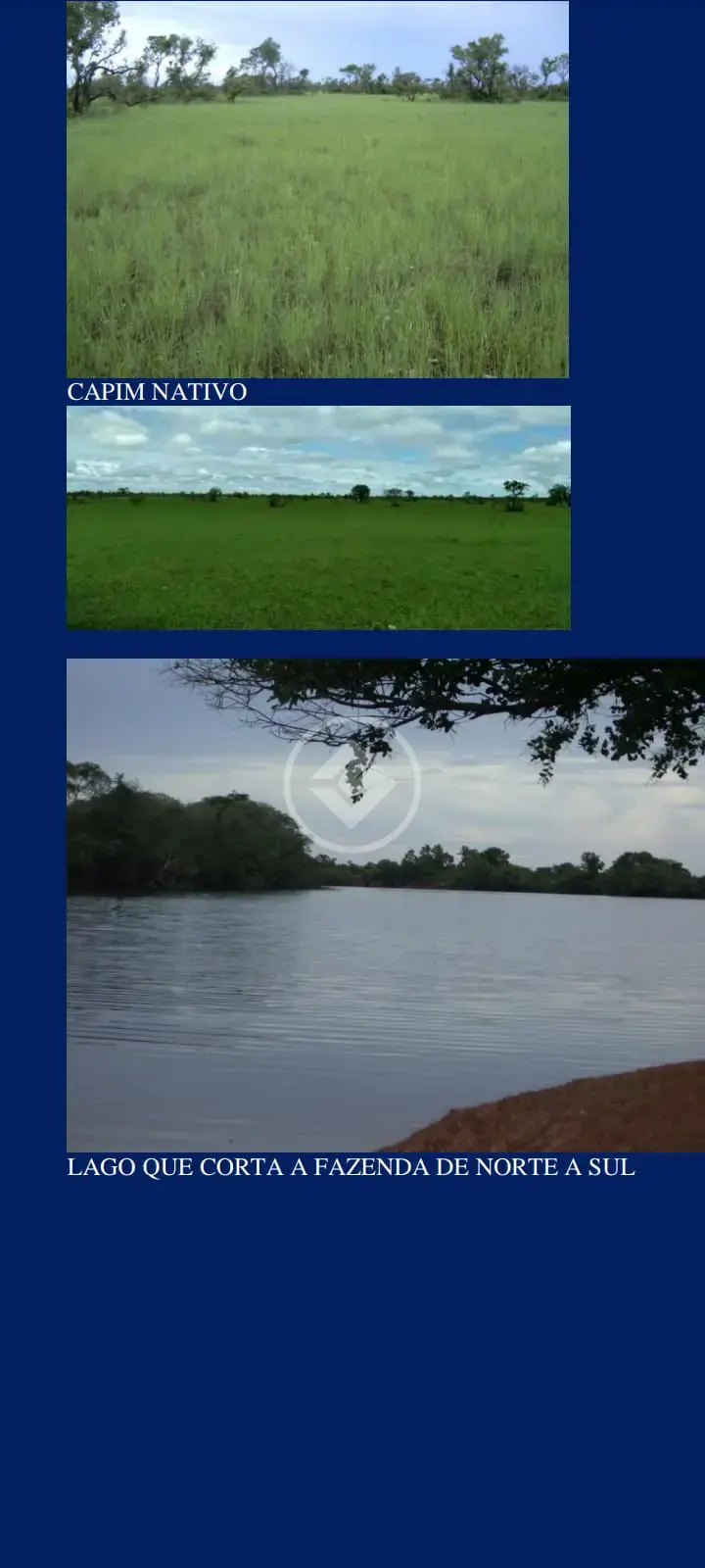 Imagem 1 - Fazenda em Centro, São Félix do Araguaia - MT