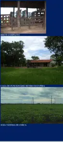 Imagem 4 - Fazenda em Centro, São Félix do Araguaia - MT