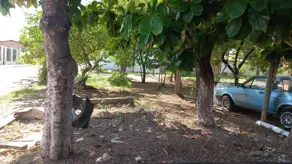 Imagem 6 - Casa em Morada do Ouro, Cuiabá - MT