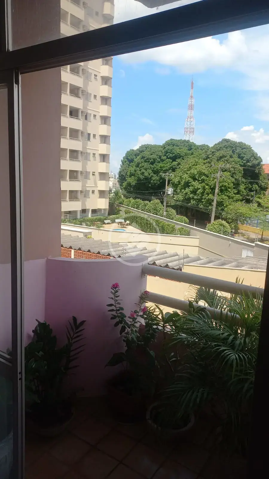 Imagem 4 - Apartamento em Bosque da Saude, Cuiabá - MT