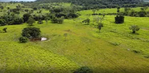 Imagem 5 - Fazenda em Zona Rural, Cáceres - MT