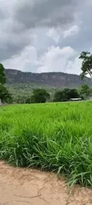 Imagem 3 - Fazenda em Olhos D Agua, Cáceres - MT