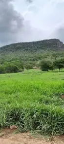 Fazenda Olhos D Agua, Cáceres - MT — foto 2
