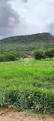 Image 2 - Fazenda em Olhos D Agua, Cáceres - MT