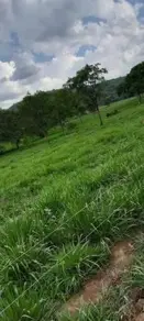 Imagem 2 - Fazenda em Olhos D Agua, Cáceres - MT
