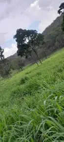 Imagem 5 - Fazenda em Olhos D Agua, Cáceres - MT