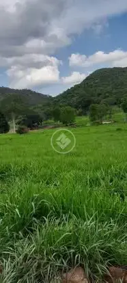 Image 7 - Fazenda em Olhos D Agua, Cáceres - MT