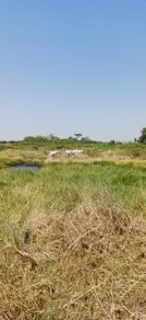 Imagem 5 - Fazenda em Area Rural, Cáceres - MT