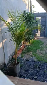 Imagem 4 - Casa em Loteamento Residencial Nico Baracat, Cuiabá - MT