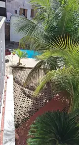Imagem 3 - Casa em Areão, Cuiabá - MT