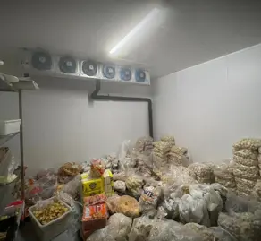 Imagem 6 - Casa Comercial em Cidade nova, Lucas do Rio Verde - MT