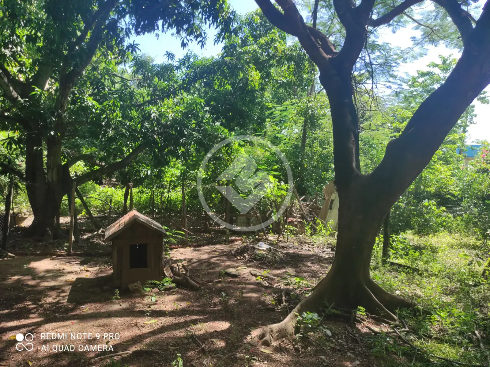 Image 16 - Chácara em ZONA RURAL, Santo Antônio de Leverger - MT